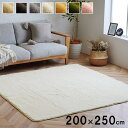 ラグ カーペット 3畳 無地 フィラメント糸 『フィリップ』 約200×250cm(ホットカーペット対応) 【メーカー直送商品】☆