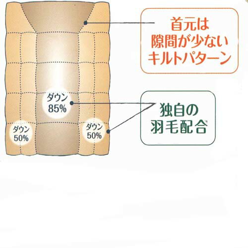 羽毛布団 ダウン85％（体にあたる部分）ダウン50％（外側の部分）独自の羽毛配合　1.1kg入り　軽量　掛け布団 羽毛 羽毛掛け布団 シングル 掛け布団 冬 羽毛布団 羽根布団 あったか 掛ふとん 合い掛け布団 かけ布団 羽毛ぶとん