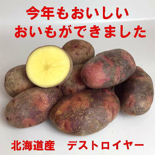 今年も美味しいおいもができました 無事に収穫できました 当店が毎年メークインや北あかりなどお世話になっている農家さんです はじめて、デストロイヤーを進めていただいたんです プロレスラーみたいな名前だなーと食べてみたところ、とても美味しかったので こちらでご紹介することに致しました、ぜひ一度ご賞味ください正式名称はグラウンド・ペチカ 甘みやコク、粘り気やホクホクとした食感が魅力のデストロイヤーは、シンプルな調理でも美味しく食べられる。さらに、煮崩れしにくいことから煮込み料理に最適ですじゃがバター、ホイル焼き、グラタン、 ふかし芋、マッシュポテト、ポテトサラダ、 フライドポテト、コロッケ、カレー、シチュー、ポトフ、肉じゃがなどなど、じゃがいもを使う料理ならどれでも美味しく作れます 商品内容 デストロイヤー（M・L・LLサイズ混）5Kg 生産地 北海道（厚真町） 2kg入りはこちらから10kg入りはこちらから 保存方法は 風通しの良い冷暗所で保存してください。 長期保存する場合は、冷蔵庫に保存することをお勧めします。 代引きをご希望の方は代引き手数料324円頂戴いたします また沖縄県・離島の方は、別途送料1000円かかります、 購入いただいたときに送料が反映されませんので、こちらから訂正させていただきますのでご了承ください地域によって、違う発送方法に変更になることがありますので、ご了承下さい)カレー　肉ジャガ　シチューなどの煮込み料理に