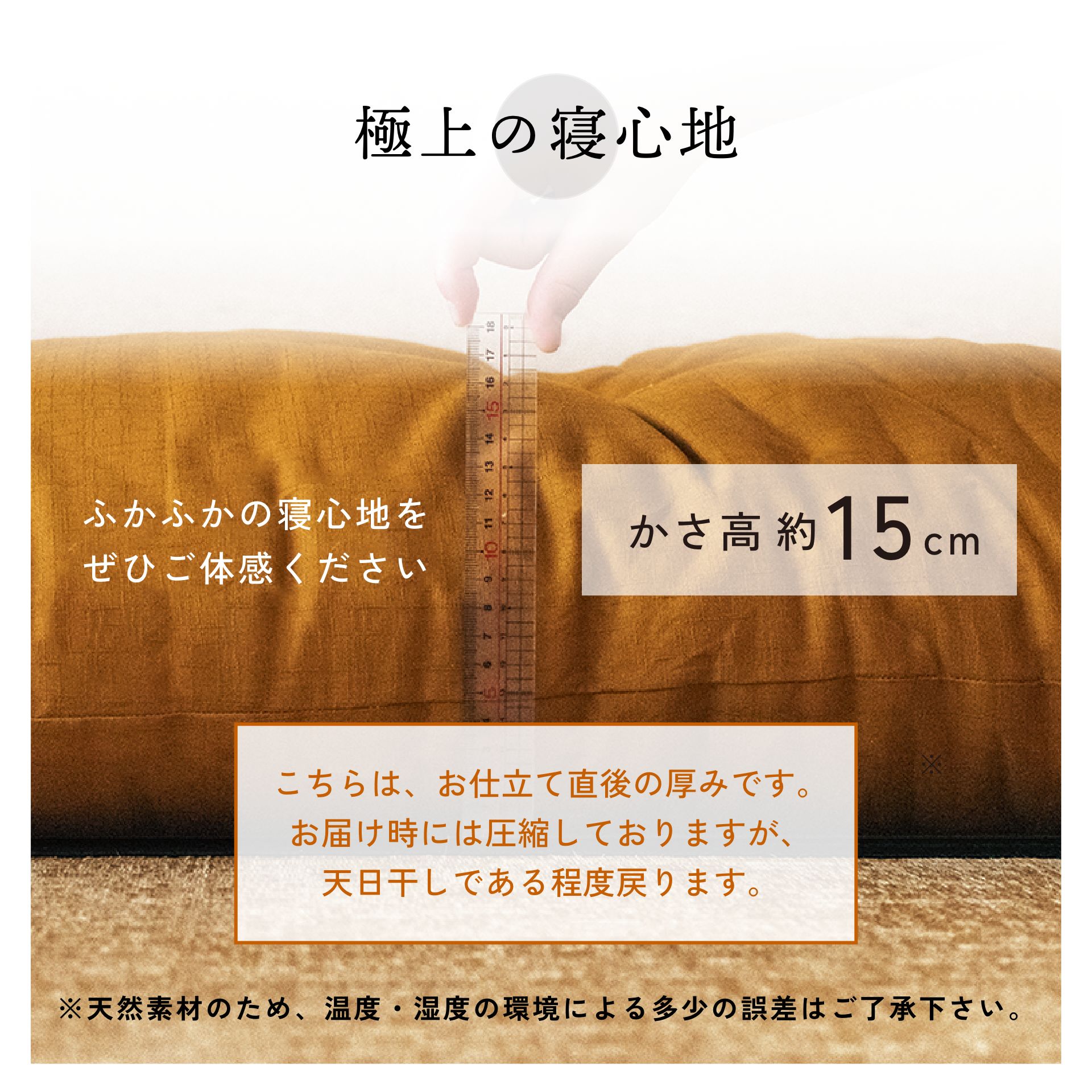 �ڥݥ����10��Ź�ޡۡ� �¿��� ���٤뿧������������ ������ �Ǥ�ľ�� ��100%���� ������������(2?3����) ���ͼ��� �� ���� ���� ���� ������ ���� �ߤդȤ� ��Ω��ľ��