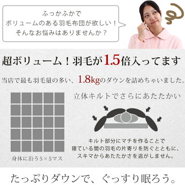 【限定価格】羽毛布団 セミダブルロングサイズ セミダブルサイズ 170×210 ホワイトダックダウン85% シルバーダックダウン85% 選べる 1.8kg 超増量 あったか アレルG 抗菌 防臭
