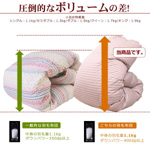羽毛布団日本製フランス産ホワイトダックダウン93%クイーンロングサイズワイドダブルサイズ210×210cmヨーロピアンダウン【ラダー】【羽毛布団回収対象】