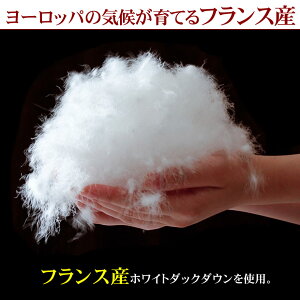 羽毛布団日本製フランス産ホワイトダックダウン93%クイーンロングサイズワイドダブルサイズ210×210cmヨーロピアンダウン【ラダー】【羽毛布団回収対象】