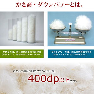 羽毛布団西川シングルマザーダックダウン95%シングルロングサイズマザーダウン150×210cm400dp以上詰め物1.1kg【ロイメ】【羽毛布団回収対象】