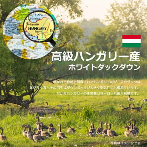 【イーグルス感謝祭期間限定26日9:59まで。税込19,900円】昭和西川羽毛布団ハンガリーホワイトダックダウン85%シングルロングサイズ150×210cmダウンパワー350dp以上詰め物1.3kg増量【TN455】【シンプル幾何】【羽毛布団回収対象】【ママ割エントリーでP5倍】