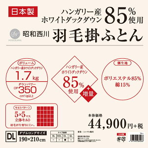 羽毛布団西川ダブルハンガリーホワイトダックダウン85%ダブルロングサイズ190×210cmダウンパワー350dp以上詰め物1.7kg増量【TN455】【シンプル幾何】【羽毛布団回収対象】