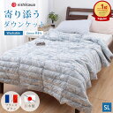 \P5倍&10%クーポン/【楽天ランキング1位】西川 羽毛布団 シングル 羽毛肌掛け布団 ダウンケット フランス産ダックダウン ダウン率93% 日本製 国産 カラダにフィット 洗える ウォッシャブル 丸洗い 抗菌 多マスキルト 寝返り 落ちにくい ズレにくい ヨーロピアンダウン