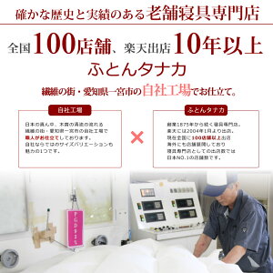 羽毛布団日本製フランス産ホワイトダックダウン93%クイーンロングサイズワイドダブルサイズ210×210cmヨーロピアンダウン【ラダー】【羽毛布団回収対象】