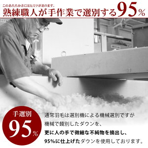 羽毛布団西川シングルマザーダックダウン95%シングルロングサイズマザーダウン150×210cm400dp以上詰め物1.1kg【ロイメ】【羽毛布団回収対象】