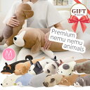 プレミアム ねむねむアニマルズ nemunemu 抱きまくら Mサイズ 柴犬 シロクマ ペンギン かわうそ アザラシ ハスキー 黒柴 ゴールデンレトリバー パグ...