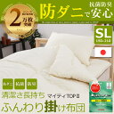 掛け布団 シングル 日本製 防ダニで安心 抗菌・防臭 オールシーズン使える日本製の掛布団 ラテ 掛布団 掛けぶとん 掛ぶとん 掛ふとん 掛けふとん ふっくら シングルサイズ 来客用