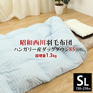 羽毛布団ハンガリーホワイトダックダウン85%シングルロングサイズ150×210cmダウンパワー350dp以上詰め物1.3kg増量【TN455】【シンプル幾何】