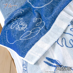 【最大ポイント20倍大感謝祭】タオルケット子供キャラクタージュニア西川SNOOPY大好き!スヌーピー夏の必需品タオルケット西川リビングの綿100%シングルジュニア子供