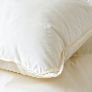 訳ありP20倍★8/26正午迄★ 【西川掛布団カバー等特典付】 羽毛布団 西川 クィーン グース 西川リビング 増量2.0kg DP410 2層 二層キルト 羽毛布団 ロシア産ホワイトグースダウン93% 2.0k 羽毛 羽毛掛け布団 掛布団 掛け布団 ふとん ぶとん クイーンサイズ