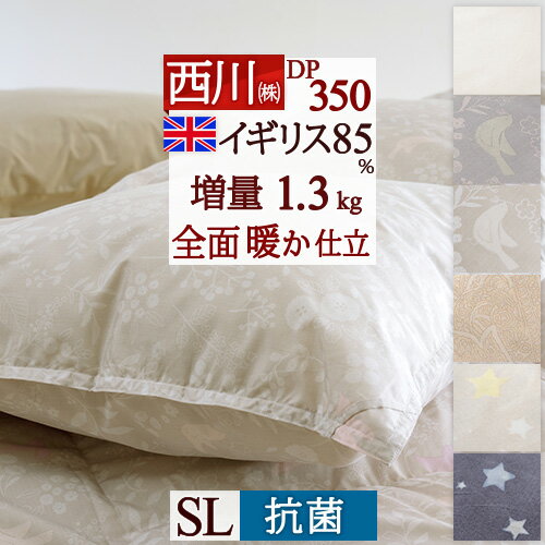 !ő5,000~N[| y|zcJo[Ttz Hѕzc VO 1.3kg _E 85% Sʑ DP350 R {  샊rO Hъ|zc HтӂƂ VOOTCY ~p g  oCIAbvH