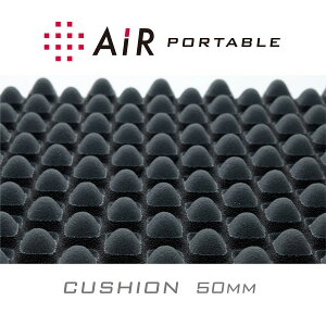 【ポイント10倍】西川エアーポータブルクッションLAI9651西川産業東京西川エアー日本製AiRクッションL西川株式会社AiR5×40×80cmナイロンケース付エアーAiRクッション
