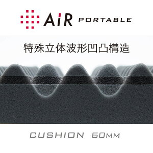 【ポイント10倍】西川エアーポータブルクッションLAI9651西川産業東京西川エアー日本製AiRクッションL西川株式会社AiR5×40×80cmナイロンケース付エアーAiRクッション