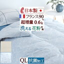 8/1限定★11%OFFクーポン 羽毛肌掛け布団 クィーン 洗える 日本製 羽毛布団 夏用 ダウンケット 羽毛ふとん ロマンス小杉 肌掛け布団 フランス産ダウン...