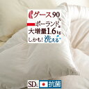 夏!早得★最大5,000円クーポン 【西川掛布団カバー等特典付】大増量1.6kg 羽毛布団 セミダブル グース ポーランド産ホワイトグースダウン90％ DP370 日本製 ロマンス小杉 羽毛ふとん 羽毛 掛け布団 コインランドリー可 冬用 厚手 セミダブルサイズ