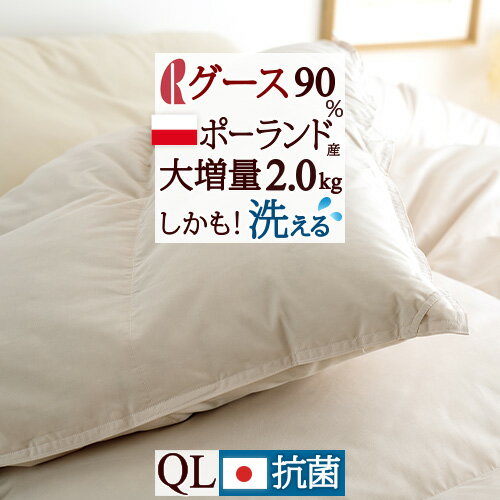 SS★10％引＆最大5 000円引クーポン 【西川掛布団カバー特典付】大増量2.0kg 羽毛布団 クイーン グース ポーランド産ホワイトグースダウン90％ DP370 日本製 ロマンス小杉 羽毛ふとん 羽毛 掛け…