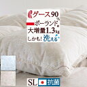 さぁ 春活★最大5,000円クーポン 【西川掛布団カバー等特典付】大増量1.3kg 羽毛布団 シングル グース ポーランド産ホワイトグースダウン90％ DP370 日本製 ロマンス小杉 羽毛ふとん 羽毛 掛け布団 コインランドリー可 冬用 厚手 シングルロングサイズ