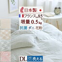 9/18限定★11%OFFクーポン 羽毛肌掛け布団 ダブル ダウンケット 洗える 日本製 増量0.5kg フランス産ダウン85% 羽毛ふとん 羽毛布団 夏用 ロ...