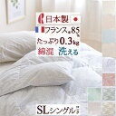 9/18限定★11%OFFクーポン 羽毛布団 シングル 夏用 ダウンケット ロマンス小杉 日本製 肌掛け布団 羽毛ふとん 洗える フランス産ダウン85% 0.3...