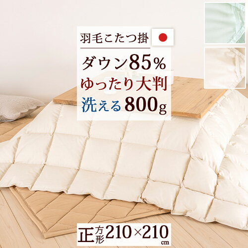 さぁ!春活★最大5000円クーポン 羽毛こたつ掛布団 正方形 210×210cm ホワイトダウン85％ 抗菌防臭 ダニ通過防止 静電気抑制加工 0.8kg 日本製 こたつ掛け布団 こたつ布団 ウォッシャブル 洗える 天板が普通