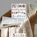 全品P5&クーポン★GW限定~6日迄 ガーゼケット シングル 日本製 西川 タオルケット 西川産業 東京西川 ウール混 ガーゼケット 泉大津 夏 涼しい 軽い ...