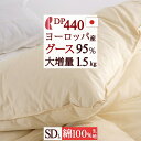 夏!早得★最大5,000円クーポン 【西