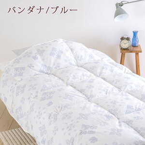 羽毛限定1000円引クーポン★羽毛肌掛け布団シングル東京西川・厳選『ウクライナ産マザーグースダウン93%』羽毛布団夏用西川日本製肌掛け布団洗える!夏薄手ウォッシャブル