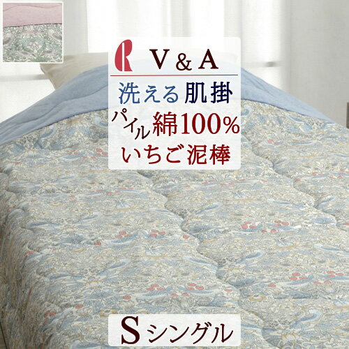 肌掛け布団 シングル タオル地 綿100% 夏用 V&A ウ