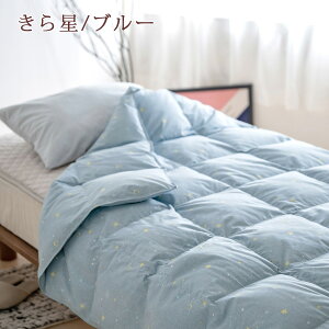 一挙両得!特盛500円クーポン★羽毛肌掛け布団シングル日本製夏用ポーランド産グースダウン増量0.4kg羽毛布団綿100%羽毛布団夏肌掛け布団シングルサイズ