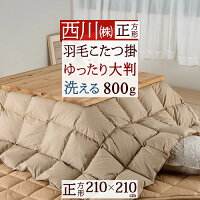 マラソン★最大5000円クーポン 西川 羽毛こたつ掛布団 正方形 洗える こたつ布団 ホ...