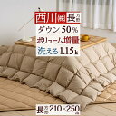 さぁ!春活★最大5,000円クーポン 西川 羽毛こたつ掛布団 長方形 210×250cm 洗える こたつ布団 ホワイトダウン 増量1.15kg 抗菌加工 こたつ掛け布団 大判サイズ 適用天板サイズ80×120cm～90×120cm ウォッシャブル 無地 ゆったり 大きいの商品画像