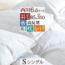 夏!早得★最大5,000円クーポン 羽毛