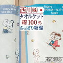 18日限定★P10★ スヌーピー タオルケット 日本製 厚手 夏用 綿100% 西川 東京西川 リビング 吸湿 パイル タオル 西川リビング シングル タオルケット 洗える 夏 送料無料 ジュニア 子供 snoopy SNOOPY キャラクター