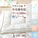 春得盛★100円クーポン★4/6 AM迄 掛け布団 ジュニア 日本製 羊毛100％ 掛けふとん 洗える ウール 側生地 綿100％ ウォッシャブル ハリネズミ きら星 かわいい 掛布団 130×180cm ジュニアサイズ