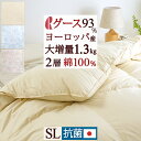 夏!早得★最大5,000円クーポン グー