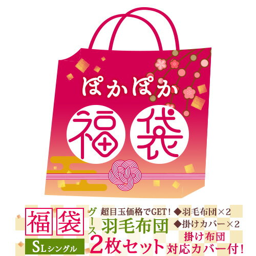 24H限定P5倍26日9時迄 福袋 2021 羽毛布団 シングル 綿100％ 西川 掛け布団カバー グース ポーランド産ホワイトグースダウン90％ DP380 超増量1.4kg 軽量生地 日本製 ロマンス小杉 羽毛ふとん 羽毛 掛け布団