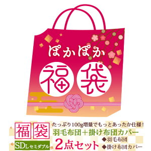 【羽毛布団福袋2020】羽毛布団掛布団カバー2点セットセミダブルポーランド産ダウン増量1.6kgDP360掛けカバーセミダブルサイズ