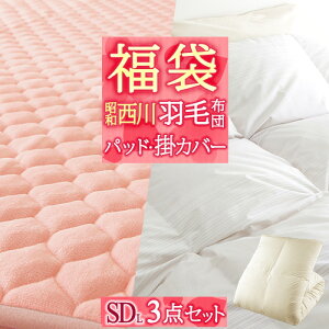 【羽毛福袋2020】昭和西川羽毛布団敷きパッド掛布団カバー日本製3点セットセミダブルドイツ産ホワイトダウンDP360敷きパッド綿100%掛けカバーセミダブルサイズ