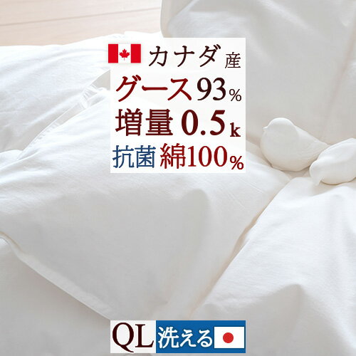 夏!早得★最大5 000円クーポン 羽毛肌掛け布団 クイーン ダウンケット グース 増量0.5kg 日本製 洗える 綿100% カナダ産ホワイトグースダウン93% 羽毛布団 夏用 羽毛肌掛布団 抗菌 肌布団 肌ふ…