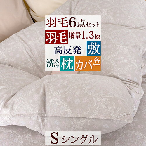 想像を超えての 羽毛布団セット シングル 組布団 6点セット 掛け布団 高反発 ウレタン敷き布団 枕 カバー3点 布団セット 配送日時指定ok 布団セット シングル ふとんタウン 西川など寝具専門店 Simpelgereedschap Nl 想像を超えての 羽毛布団セット シングル 組布団 6点セット 掛け布団 高反発 ウレタン敷き布団 枕 カバー3点 布団セット 配送日時指定ok 布団セット シングル ふとんタウン 西川など寝具専門店 Simpelgereedschap Nl