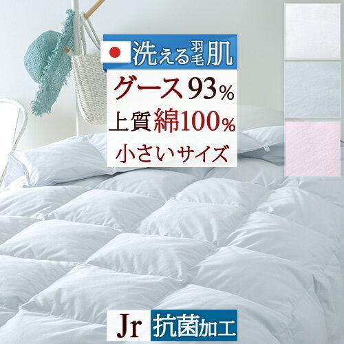 マラソン★最大5 000円クーポン 羽毛肌掛け布団 グース 小さい 子供用 介護用 ダウンケット 夏用 日本製 洗える ウォッシャブル 綿100% ホワイトグースダウン93％ 0.25kg 抗菌 羽毛布団 薄手 薄…