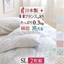 マラソン★最大5,000円クーポン 2枚まとめ買い 羽毛肌掛け布団 羽毛布団 シングル 夏用 ダウンケット ロマンス小杉 日本製 肌掛け布団 洗える フランス産ダウン85％ 0.3kg ダニプルーフ 花粉フリー 抗菌防臭 薄手 シングルロングサイズ 夏 丸洗い 肌ふとん