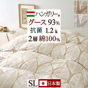 5/1限定★11％OFFクーポン 羽毛布団 グース シングルガーブカーサ garb casa リーブス ハンガリー産グースダウン93% たっぷり1.2kg DP400 二層 2層式キルト 抗菌 防臭 綿100%生地 日本製 シングルロングサ