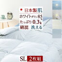 夏!早得★最大5,000円クーポン 羽毛