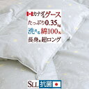 マラソン★最大5,000円クーポン 長身用 ダウンケット グース シングル 超ロング230cm 羽毛肌掛け布団 夏 洗える カナダ産ホワイトグース93% 0.35kg 日本製 肌掛け布団 羽毛布団 夏用 抗菌 羽毛肌布団 シングルロングロングサイズ 丸洗い ウォッシャブル