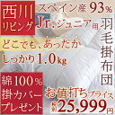 SSセール特別 全品P5倍 6/21 8:59迄 [掛カバー...